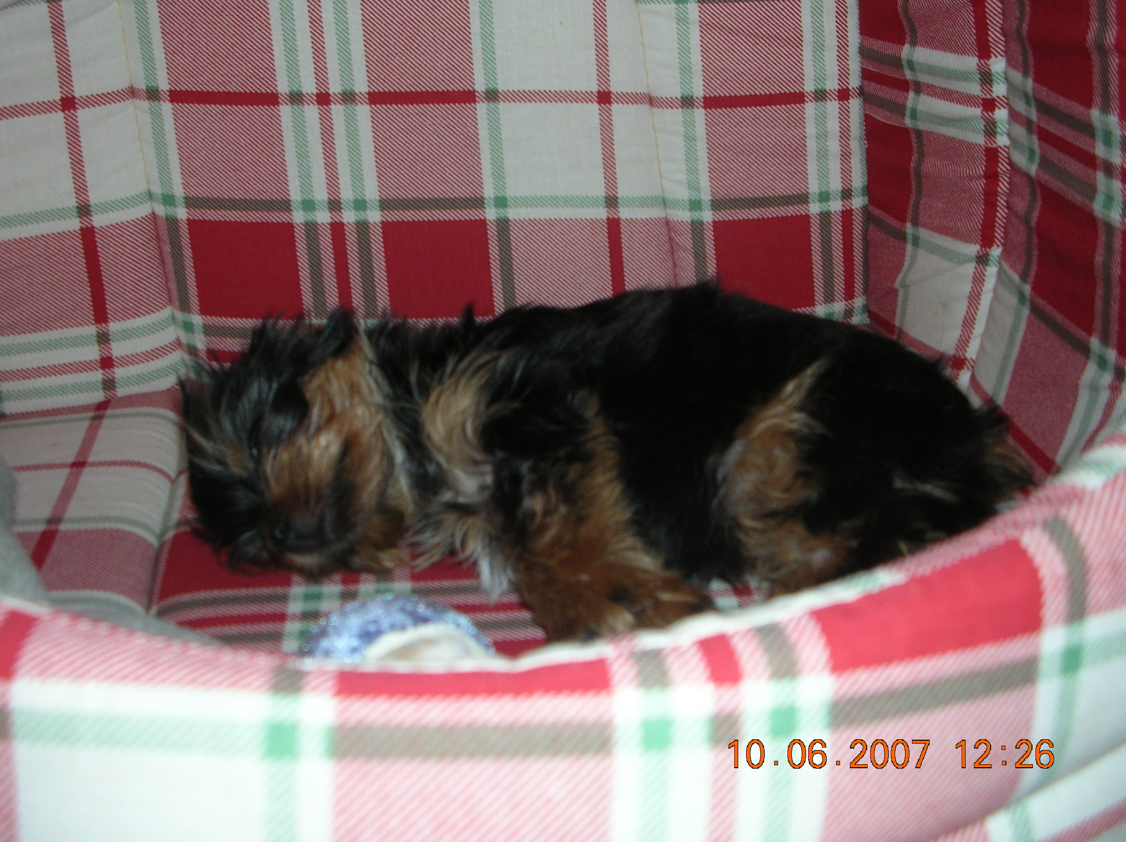 DSCN2854.JPG