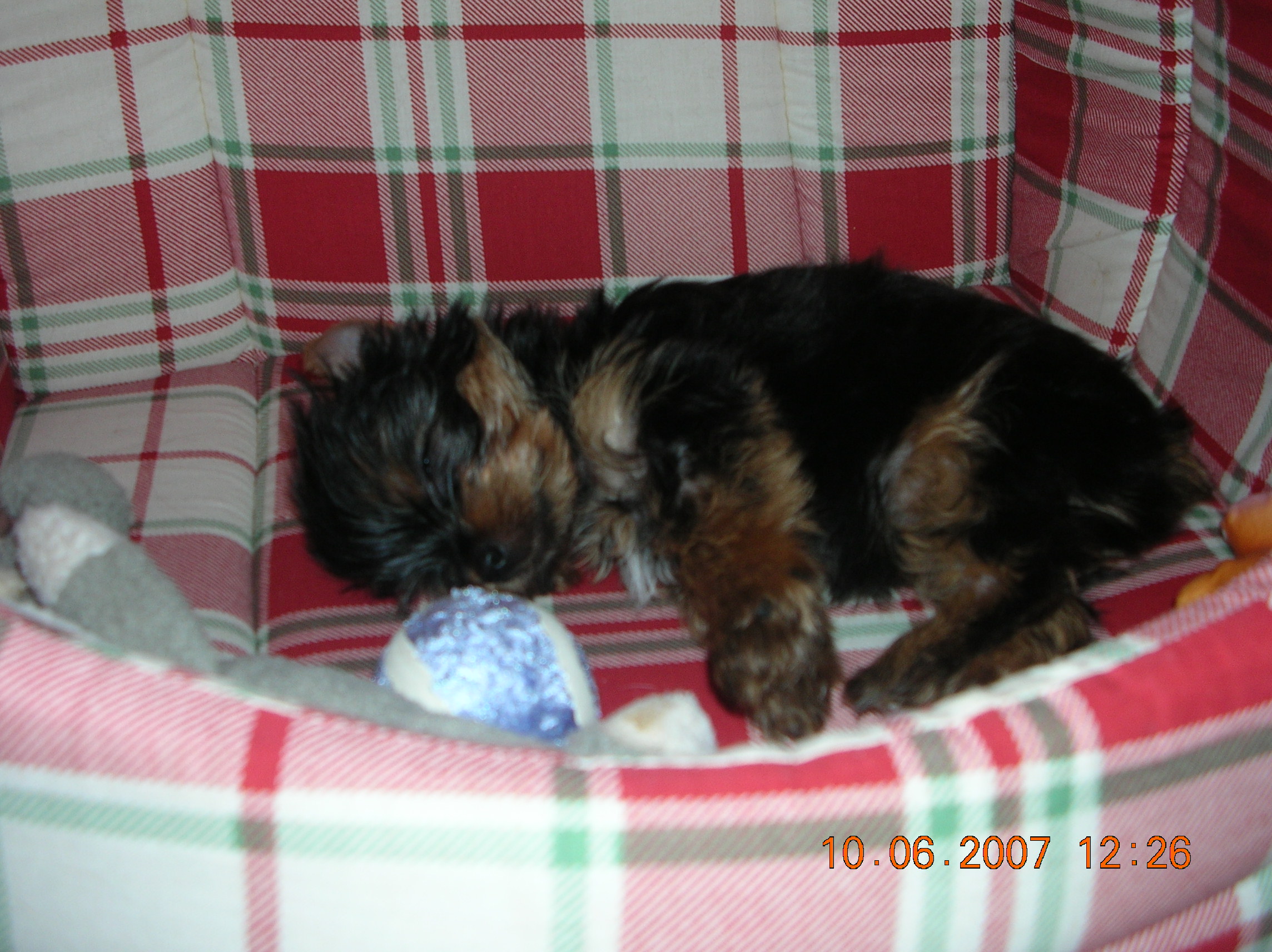 DSCN2855.JPG