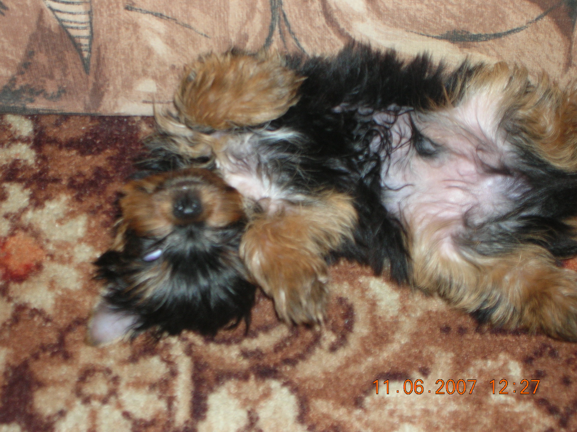 DSCN2891.JPG