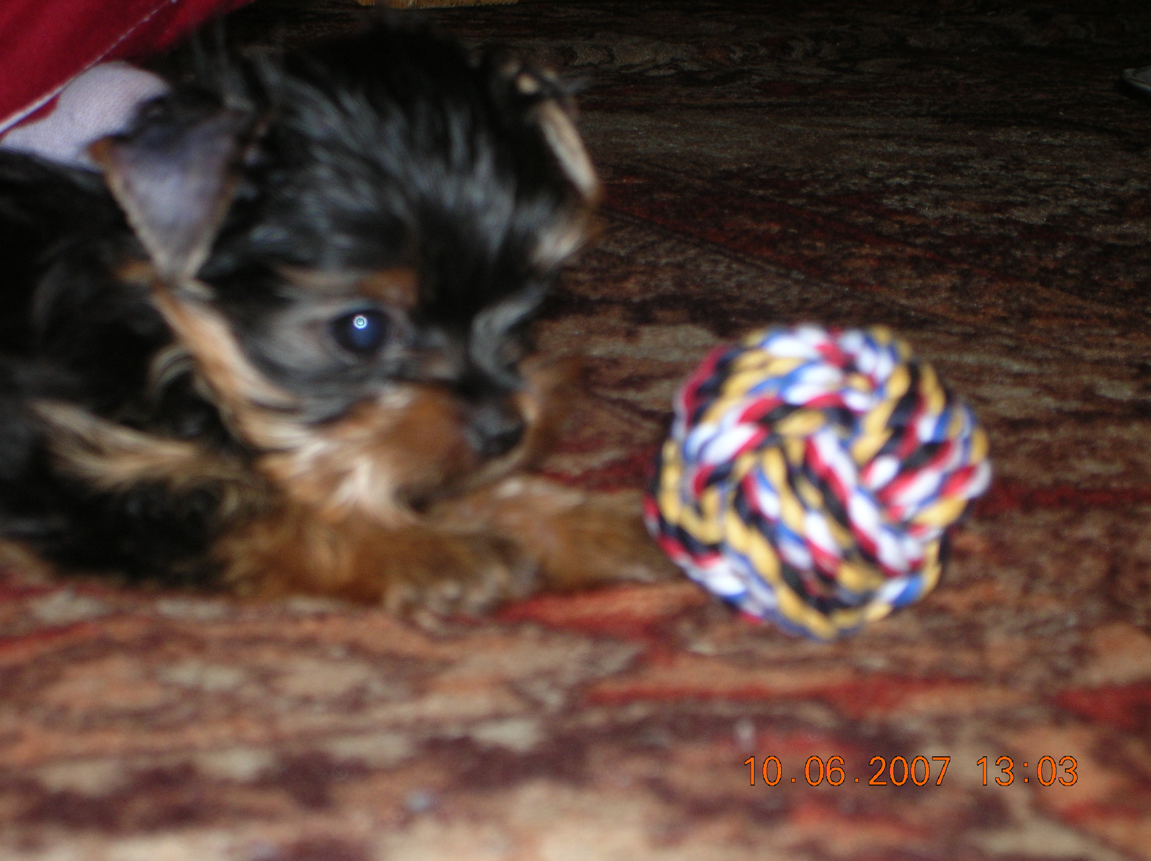 DSCN2859.JPG