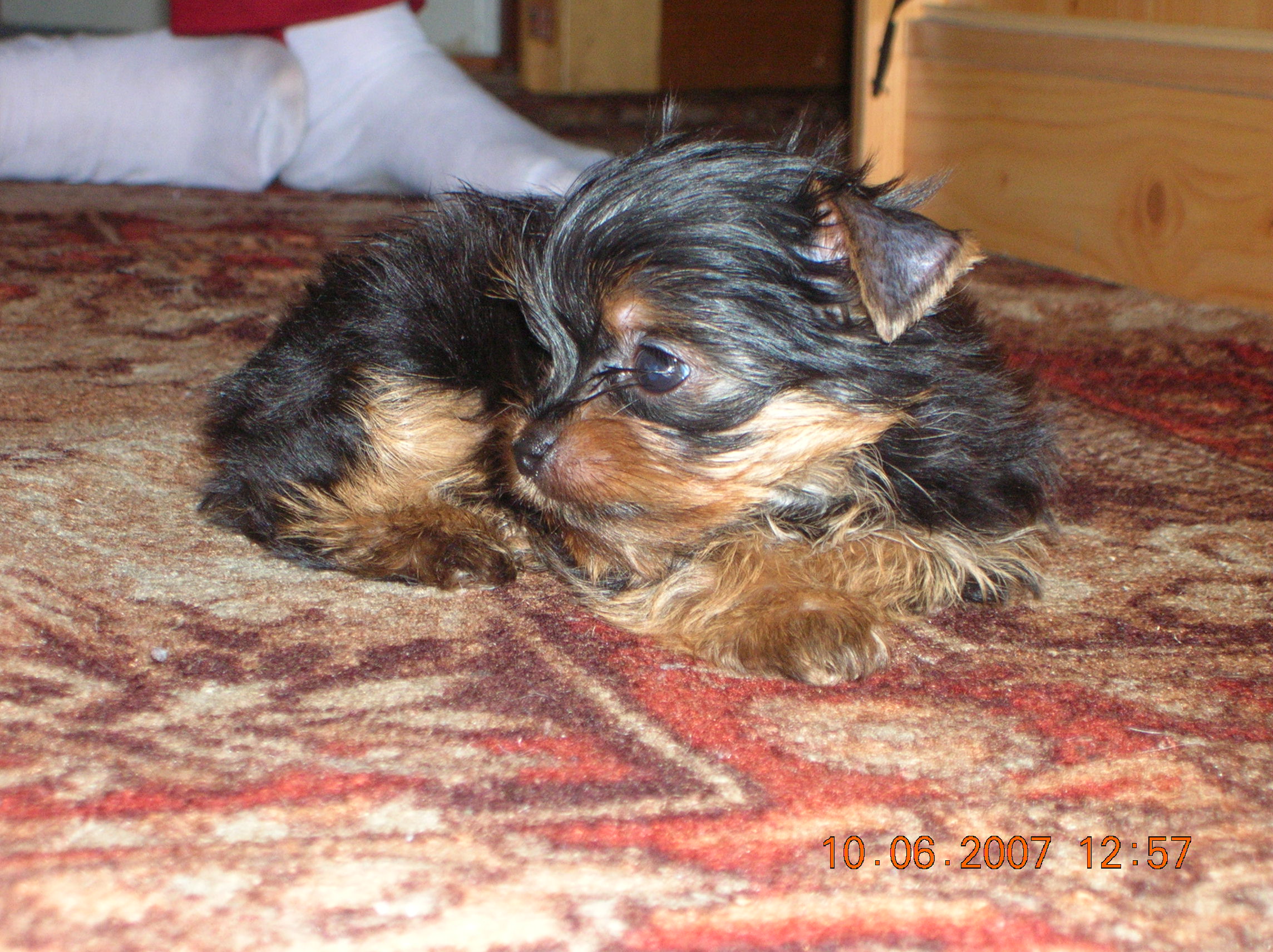 DSCN2857.JPG