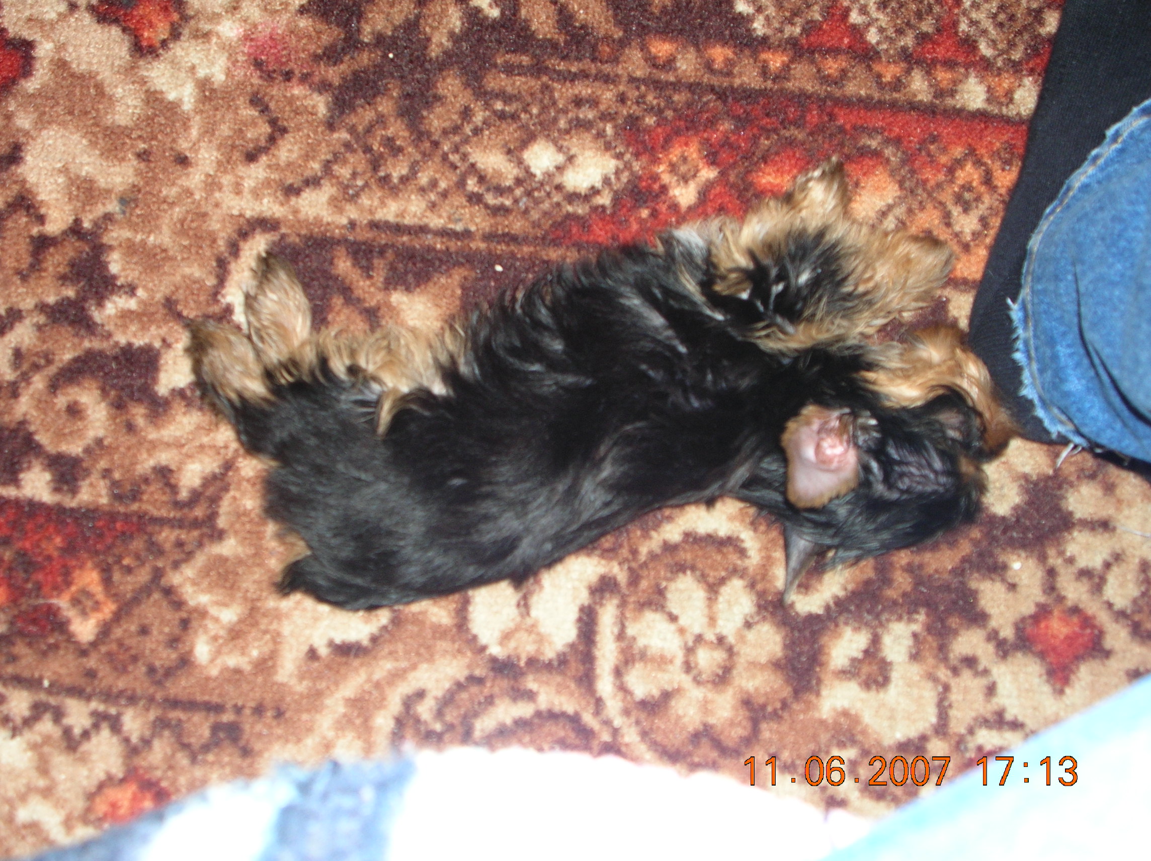 DSCN2893.JPG