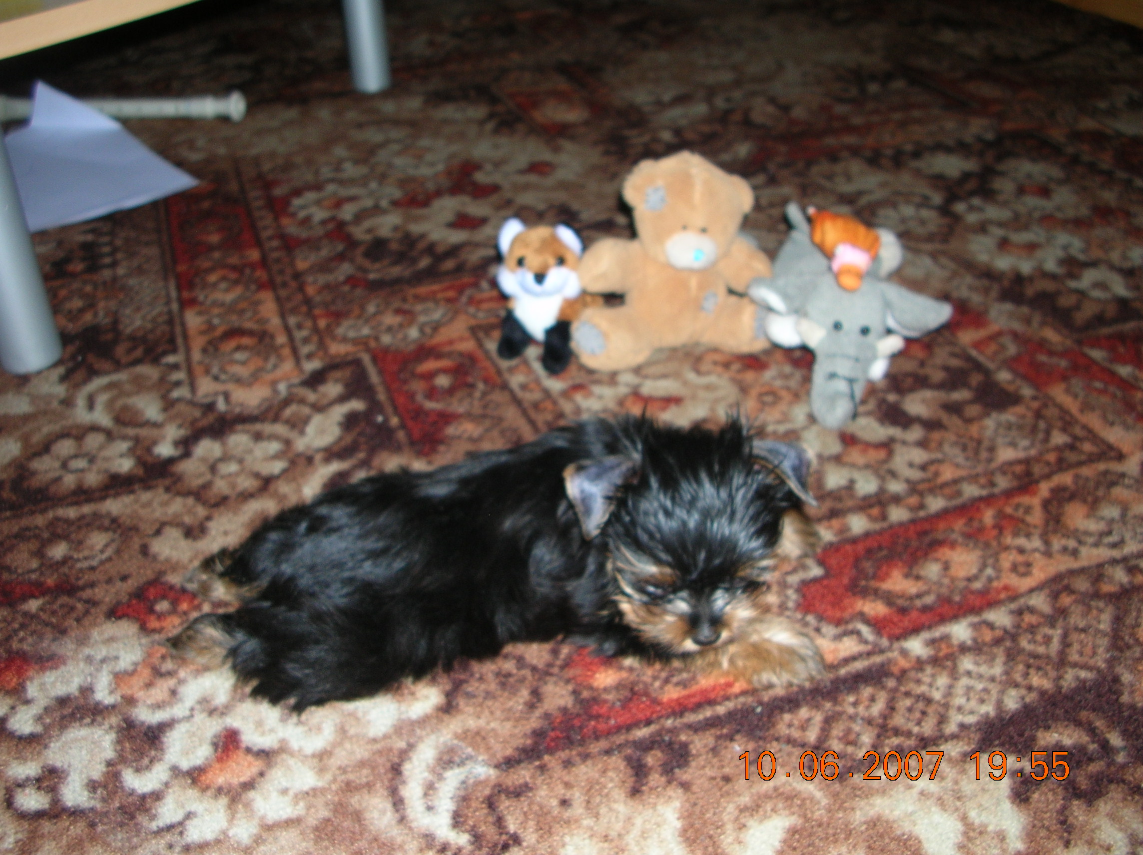 DSCN2887.JPG