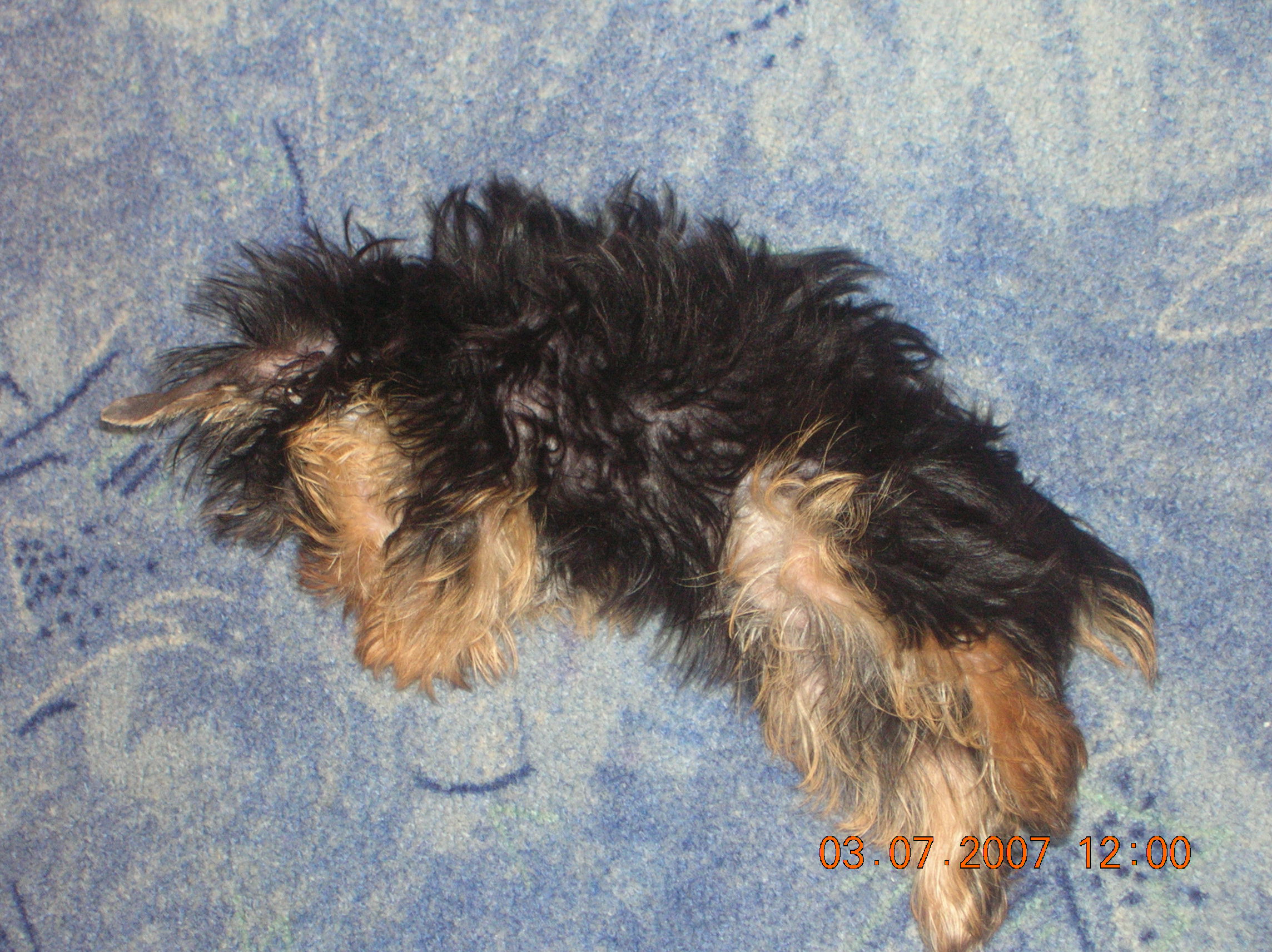 DSCN2937.JPG