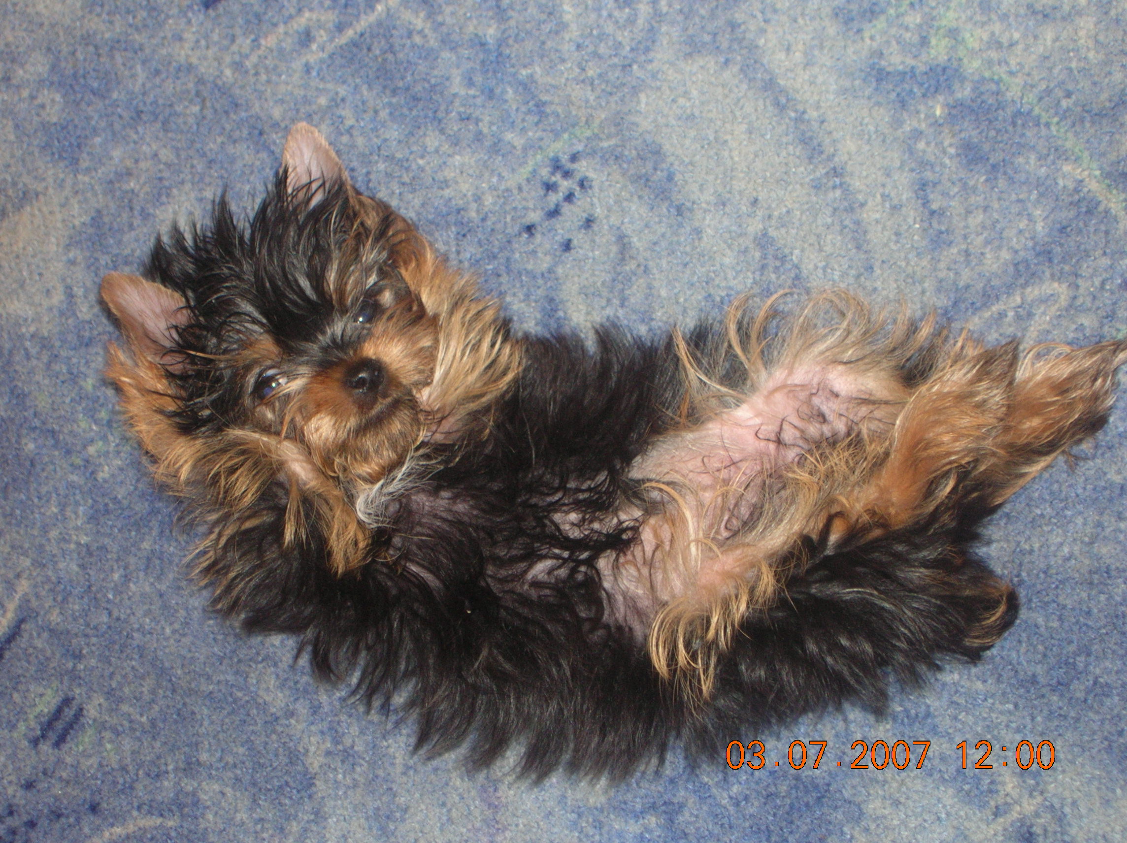 DSCN2938.JPG